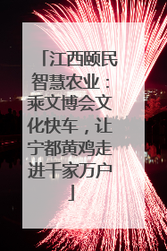 江西颐民智慧农业：乘文博会文化快车，让宁都黄鸡走进千家万户